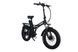 Електровелосипед фетбайк Tecros F1 20 Ah 750 W Tecros_F1_48_20_750 фото 2