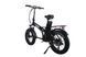 Електровелосипед фетбайк Tecros F1 15 Ah 500 W Tecros_F1_48_15 фото 3
